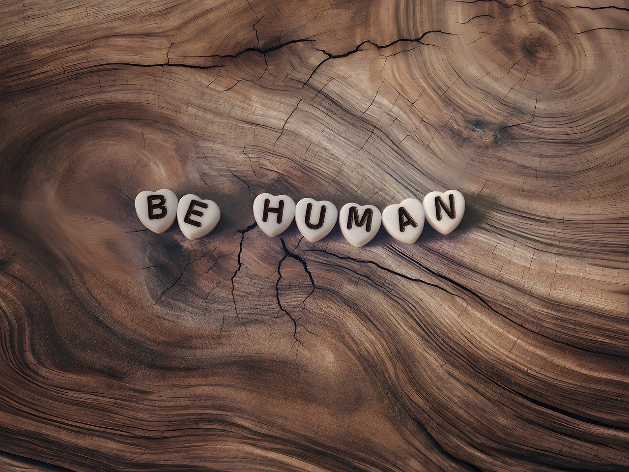 be human, hearts, message-8555556.jpg